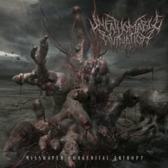Unfathomable Ruination- Carved Inherent Delusion
