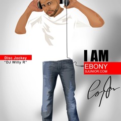 DJ Willy R NYC 2012 Summer 90's-00's Merengue Mix