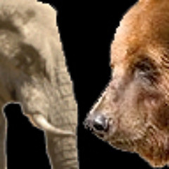 Bear vs. Elephant