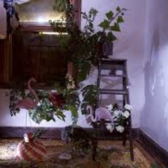 All The Pleasures Of The World