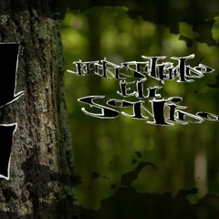 Asi es la realidad (sonido griyo siniestra ft vekors )