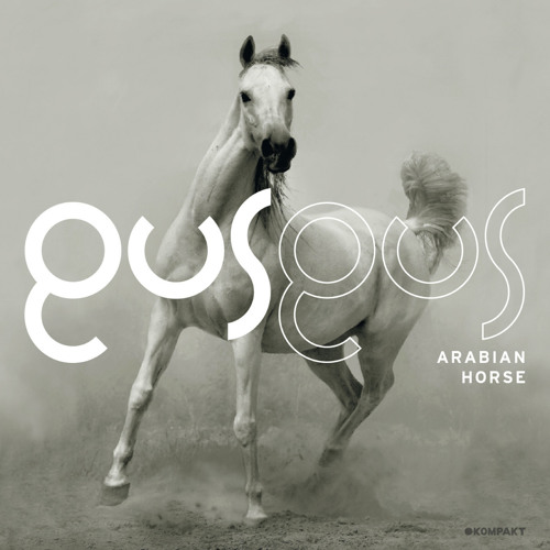 06 - Arabian Horse