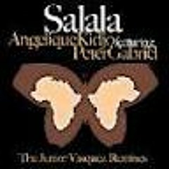 Salala - ANGELIQUE KIDJO (Case Remix) feat. Peter Gabriel
