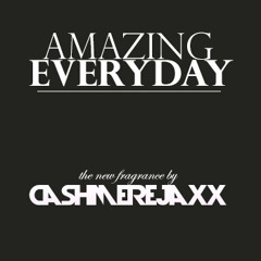 Cashmere Jaxx - Amazing Everyday (Original Mix)