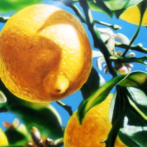 AkUsTiXx live - LeMoN TrEE
