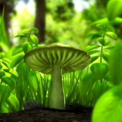 La Verdolaga  Mao Rincon Original Mix ( Toto la Momposina)