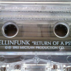 DJ Mellinfunk-Return of a psycho