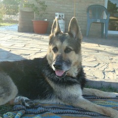 What's up Mina (1st scene) —