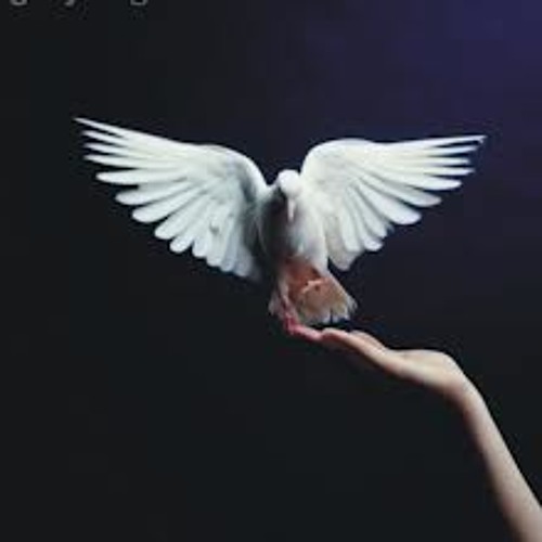 When I say that I love You