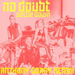 No Doubt - Settle Down (Anthony Gorry Remix)
