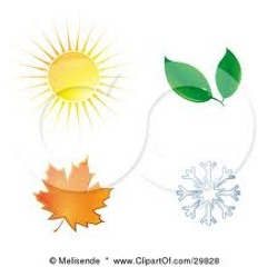 Sunspring