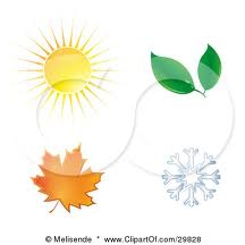 Sunspring