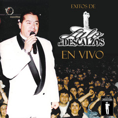 Lalo y Los Descalzos - Donde Andaras Ahora(live)