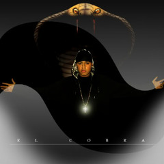 MAKE IT NASTY (HAZLO SUCIO) cobra, crooked stilo "rremix"