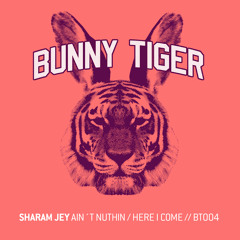 Sharam Jey - Ain´t Nuthin/Here I Come (Preview!) Bunny Tiger Music004