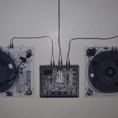 Mr polska- vinger op de klitter