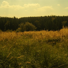 Ich will hier nicht weg