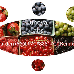 Lunova Labs – Burden (666L17C#88817C# Remix)