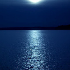 *WILD BLUE*
