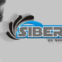 Sibers El Sonido Norteño Sax mixx