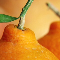 Orange kush