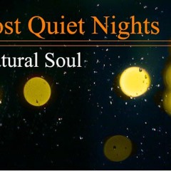 Most Quiet Nights (Original)