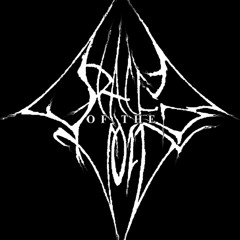 Oracle of the Void unreleased 4-3-2010