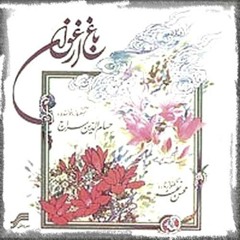 حسام الدین سراج ، شور و دشتی