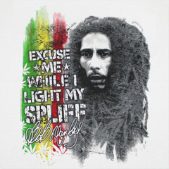 SPACEGANG - GANJA GUN