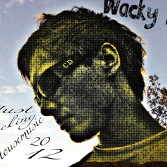 Wacky D - Just Fucking Housemusic! 2012