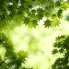 PREVIEW - NWO (Prototype B - Internal Heaven)