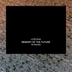P E T S H O P B O Y S - Memory Of The Future (JCRZ One-Of-A-Minute Predictible Remix)