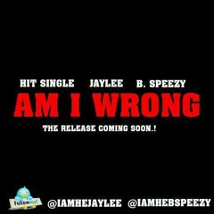 Official Am I Wrong 2012