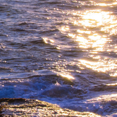 Jenna F. : Wrapped in Wings of Water