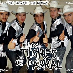 LOS TIGRES DE PARRAL-Mix ranchero-cartas jugadas-camino sin regreso