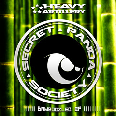 Secret Panda Society ft EJ Jung - It's All Gone (Original Mix) out now!