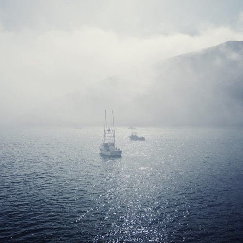 Ocean Fog