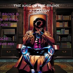 DJ Gambit (King of the Bronx) Reggae Mix 2
