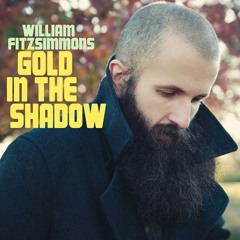 William Fitzsimmons - Psychasthenia (Cross Them Out Remix)