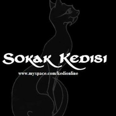 Sokak Kedisi-Sigara