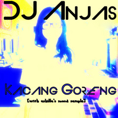 DJ Anjas Aryo - Kacang Goreng ( @ashillazhrtiara's sound sample) (ORIGINAL MIX DUTCH)
