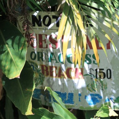 deejayscootz  - Straight from JAMAICA 2012