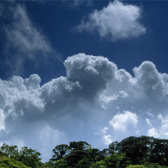 Maximus Orelius Decimus Gardner