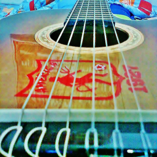 02 - flema - solo con todos