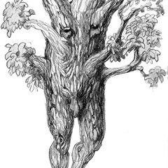 The Ent and The Ent-Wife