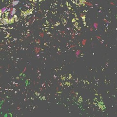 A COSMOS IS A HARMONIOUS AND PHILOSOPHICAL SYSTEM: a poem by Nicolas Grenier