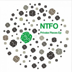 NTFO feat. Gabby - Adjective (Private Mix) (HouseMusic365.com)
