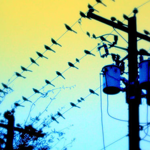 "Hell on Heels" (Pistol Annies) cover