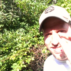 Skintologists Light to the Shadow  feat. Nyusta Deckwrecka Remix feat Manic