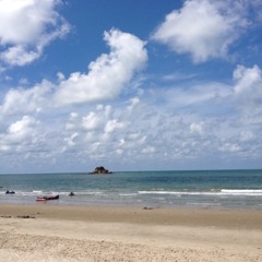 รอยเท้าบนผืนทราย